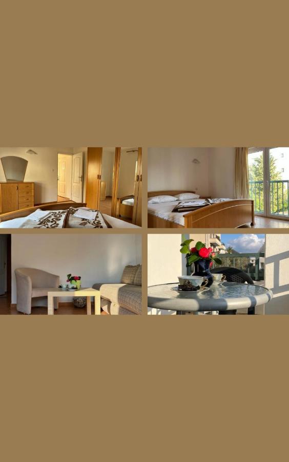 Apartments And Room Mv Petrovac エクステリア 写真